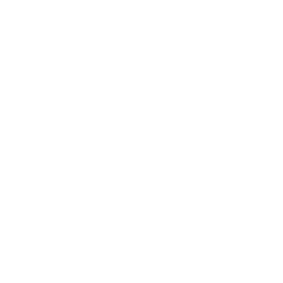 Gauchos Churrasco BBQ