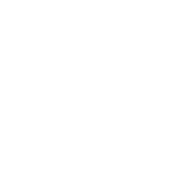 One Fat Bird